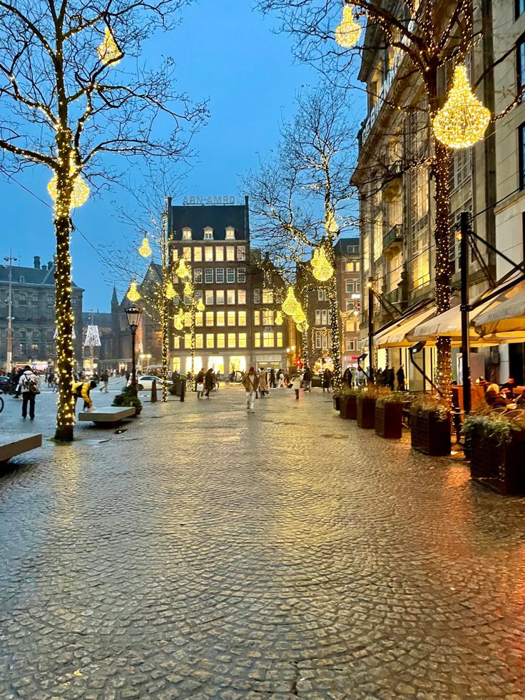 a city street with lots of christmas lights on the trees and people walking down it