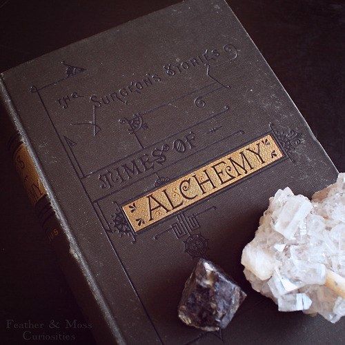 a book with some rocks on top of it