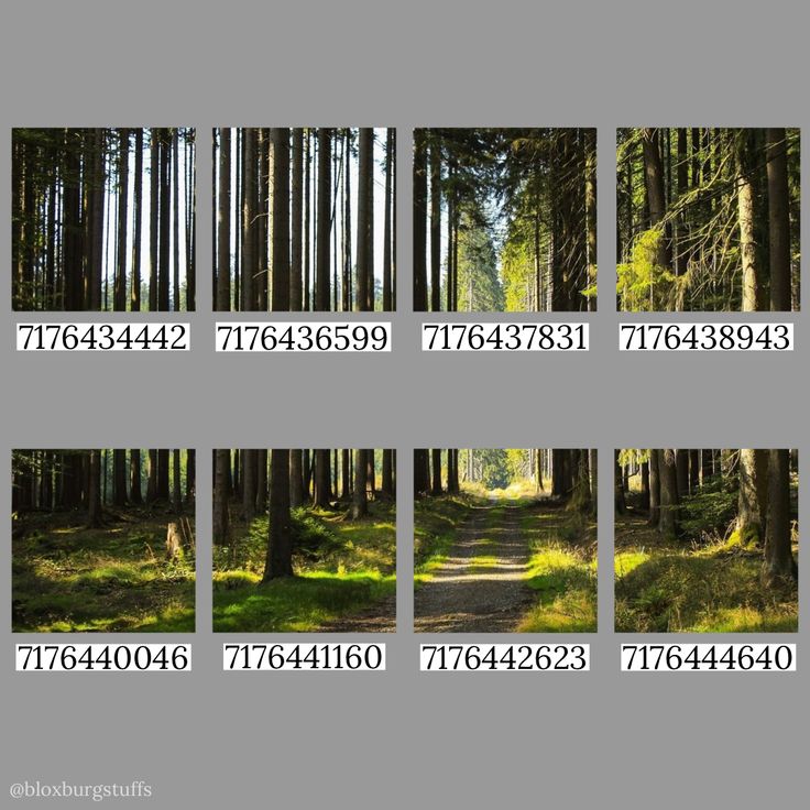 multiple images of trees in the woods with numbers on each side and four different pictures of them