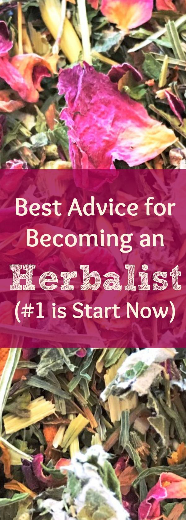 tea leaves with the words best advice for becoming an herbist 1 is start now