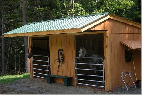 a small shed with two doors and a horse in the stall on the right side