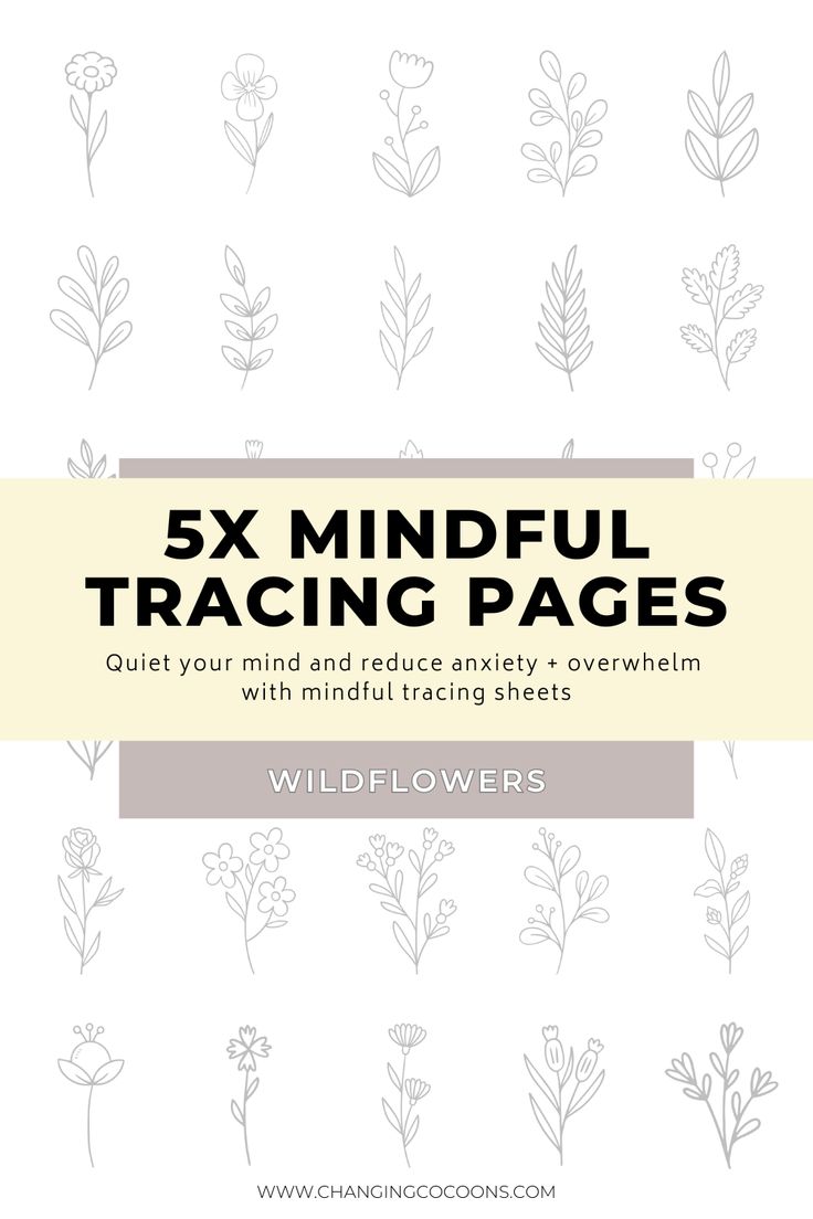 Unwind and get creative with 5 Wildflower Tracing Pages! 🌼 Build muscle memory, improve your drawing skills, and master the art of wildflowers—all while finding a calm and mindful moment. Perfect for artists of any level! 🖊️✨ #WildflowerArt #MindfulTracing #LearnToDraw #CreativeCalm