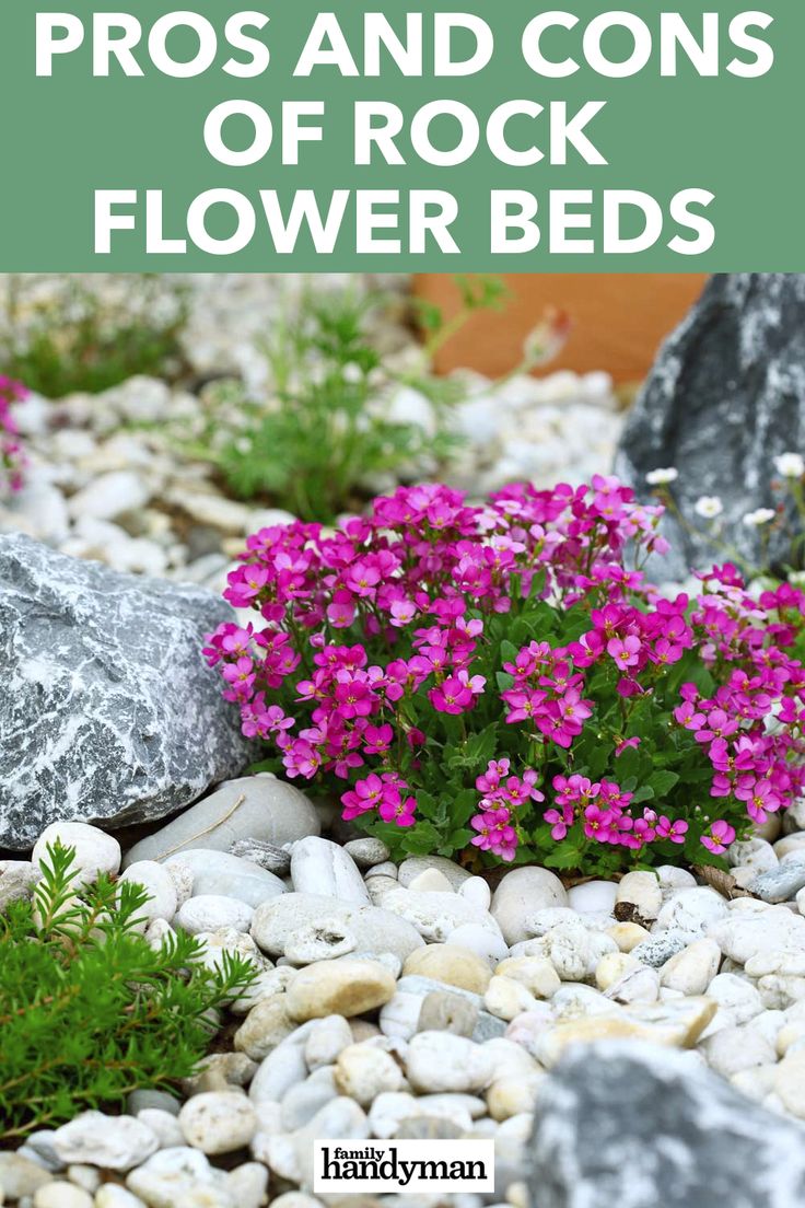 flowers and rocks with text overlaying tips for the perfect river rock flower bed