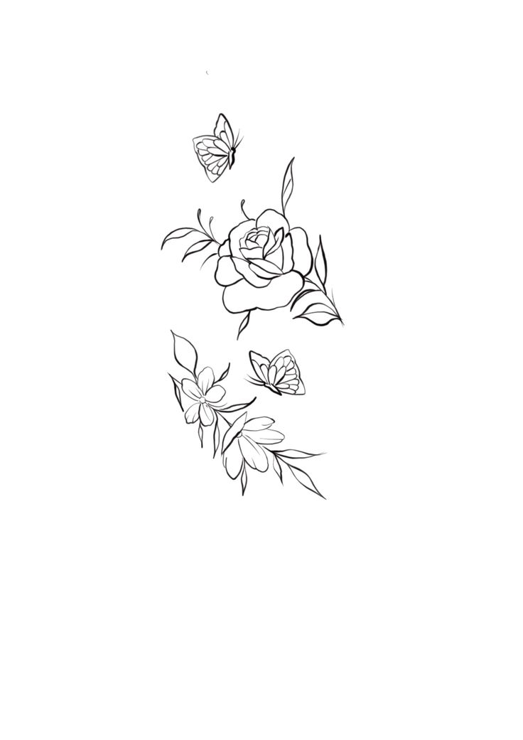 some flowers and butterflies on a white background