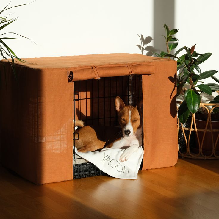 a dog in a crate on the floor next to a plant and potted plants