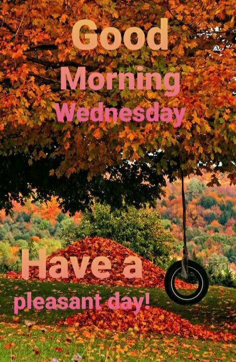 a tire hanging from a tree with the words good morning wednesday have a pleasant day