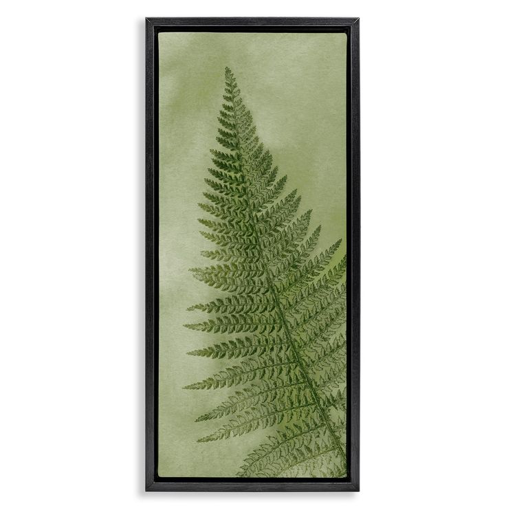 a green fern leaf hanging on the wall in front of a white background with black frame