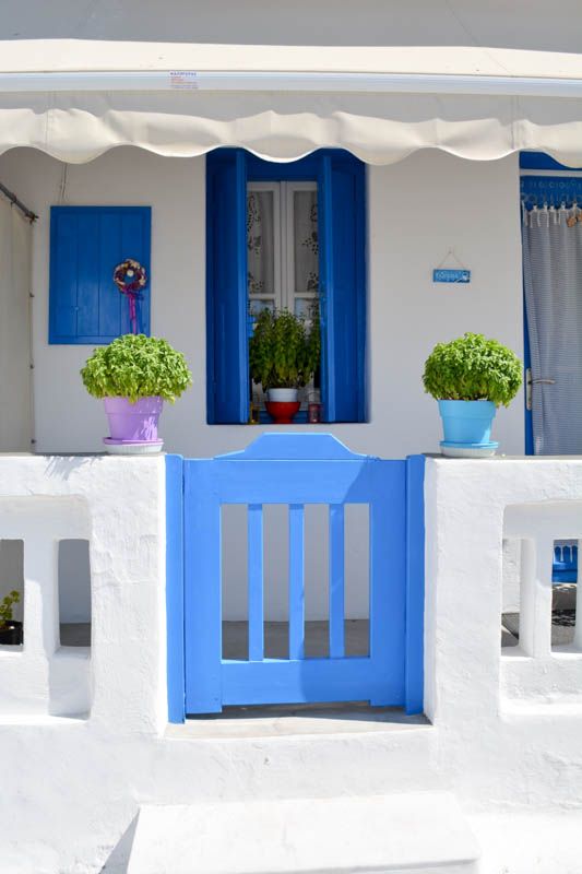 a white house with blue shutters and potted plants