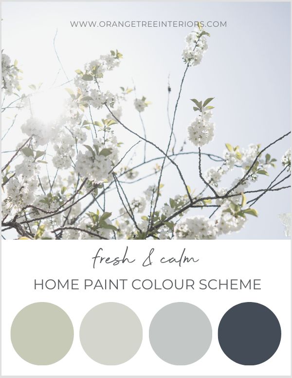 the color scheme for fresh and calm home paint