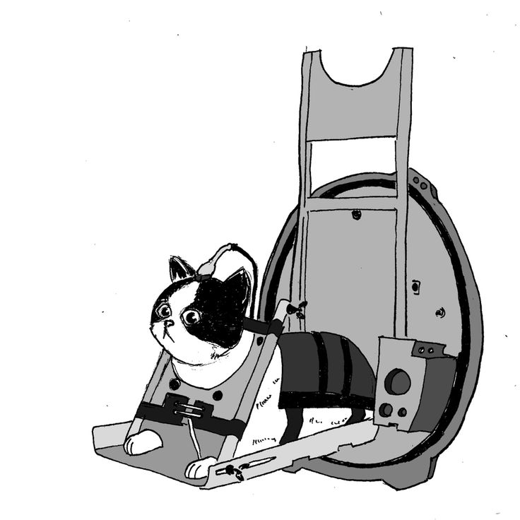 a black and white drawing of a cat sitting on a chair that is attached to the back of a backpack