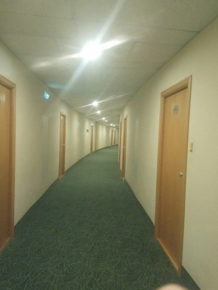 an empty hallway with green carpeting and doors leading to the rooms on either side