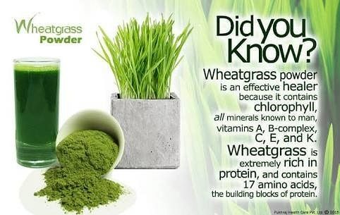 Wheatgrass Benefits, Wheatgrass Powder, Herbal Shop, B Complex, Wheat Grass, Rich In Protein, Hair Problems, Amino Acids, Health Benefits