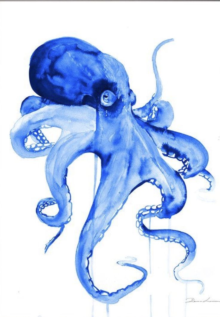 an octopus is painted in blue ink on white paper with watercolor pencils and pen