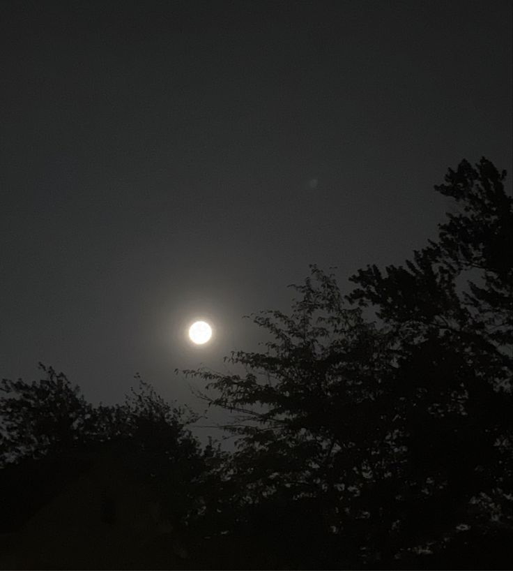 the moon shines brightly through the dark night sky above some tree tops and trees