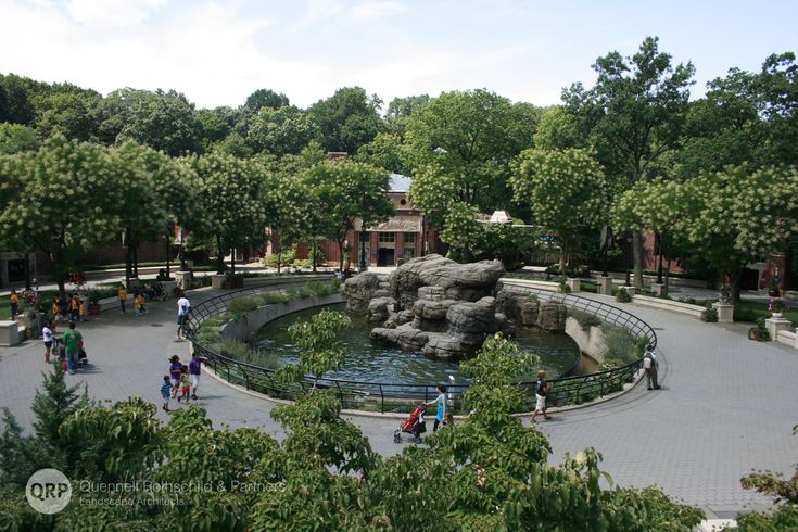 people are walking around in the park with trees and rocks on either side of the pond