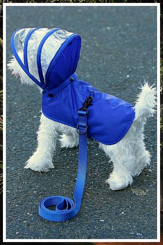 Dog Clothes - Amazon.com, everybody's favorite online store. Click to buy everything you desire today. Dog Rain Coat, Dog Clothes Diy, Dog Raincoat, Dog Clothes Patterns, Dog Boutique, Dog Items, Puppy Clothes, Rain Coat, Bichon Frise