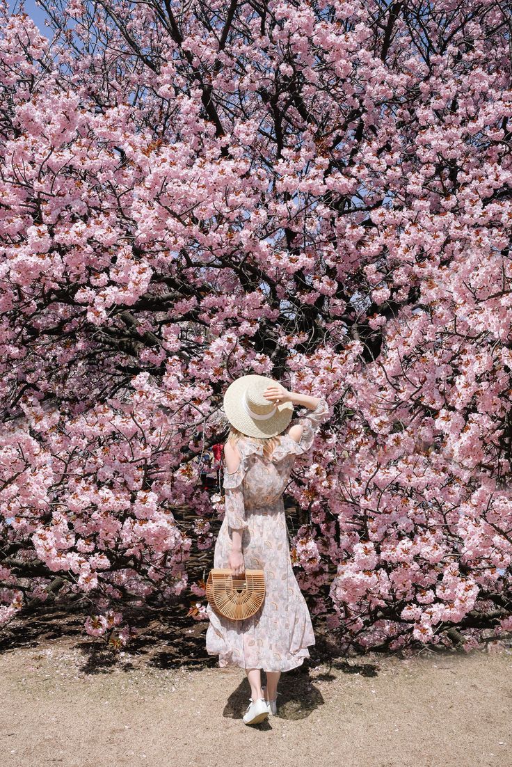 a woman in a dress and hat standing next to a tree with pink flowers on it