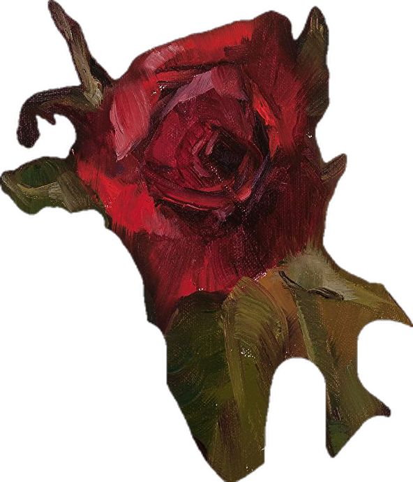 a painting of a red rose on a white background