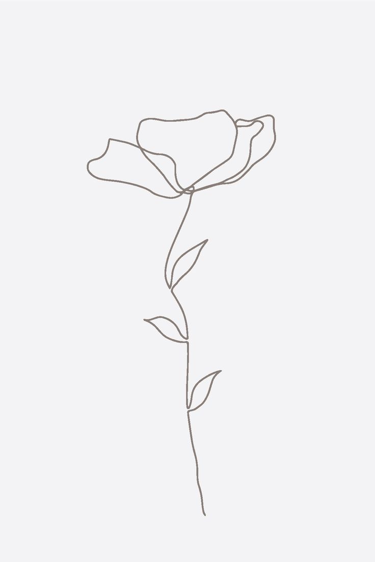 a single line drawing of a flower on a white background