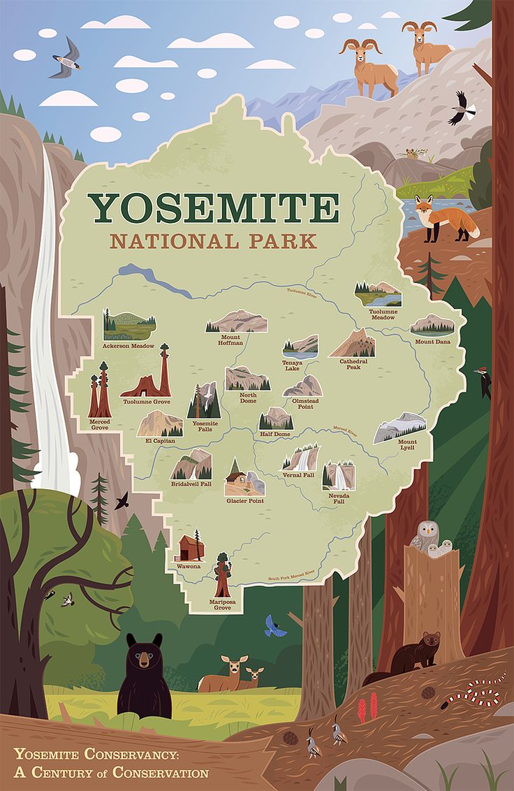 a map of yosemite national park with animals and trees in the foreground