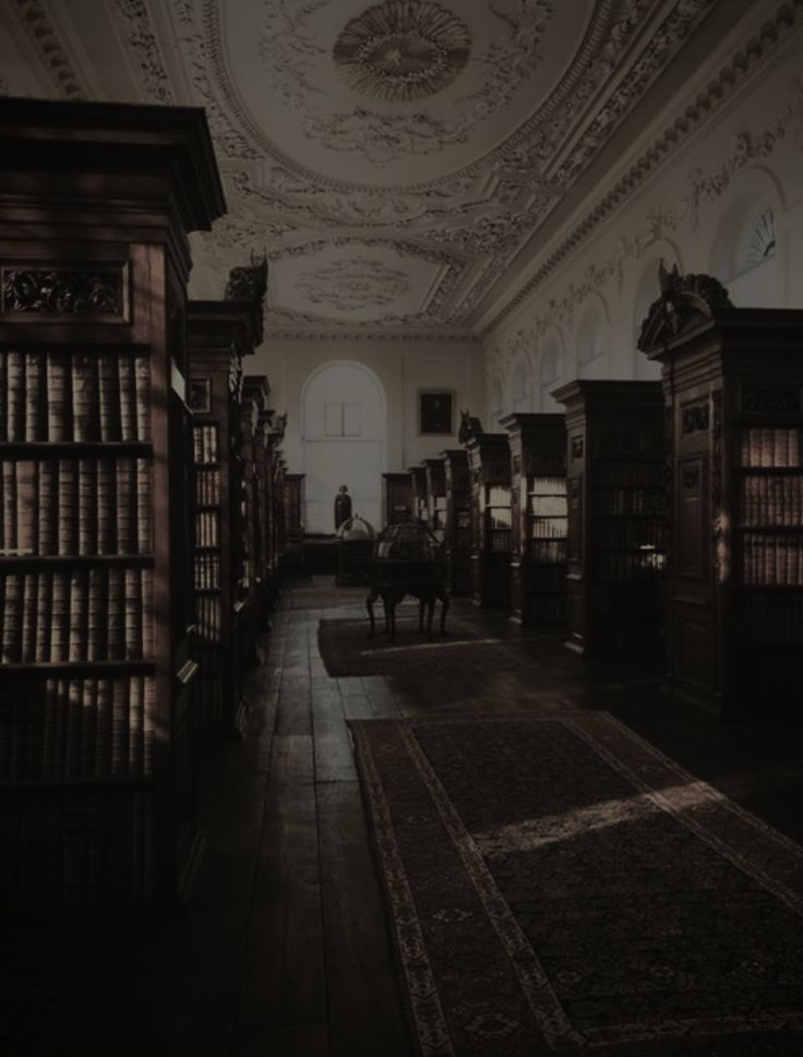 an old library with many books on shelves and a man sitting at the top of one