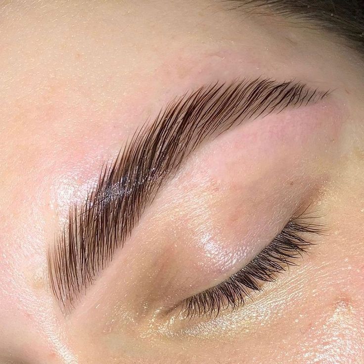 Find out everything about one of the most popular treatments for trendy eyebrows. We bring you Brow Lamination explained in detail. #browlamination #ezebrowlamination #laminatedbrows #laminatedezebrows #browlift #browperm #ezebrowperm #pmuhub Trendy Eyebrows, Eyebrow Lamination, Sugaring Hair Removal, Eyebrow Design, Brown Eyebrows, Thick Brows, Sugar Waxing, Eyelash Lift, Eyebrow Tinting