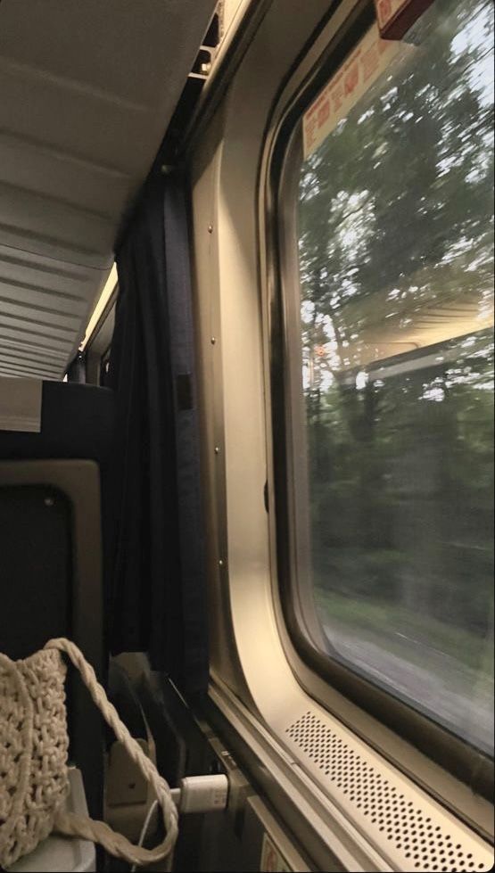 the inside of a train car with trees in the back ground and one window open