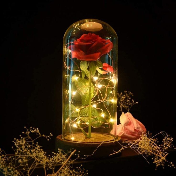 a red rose in a glass dome with fairy lights on the bottom and behind it