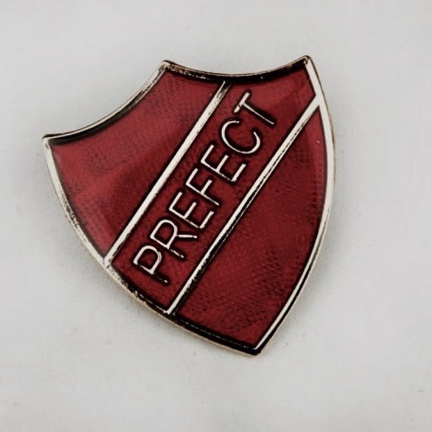 a red and gold lapel badge with the word perfect on it's side