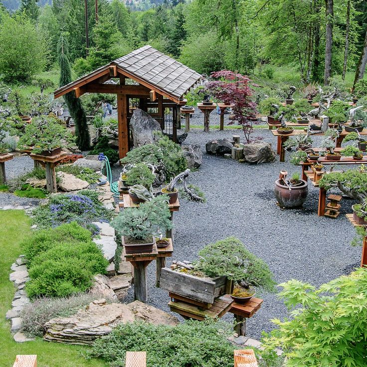 a garden filled with lots of different types of trees and plants on top of rocks