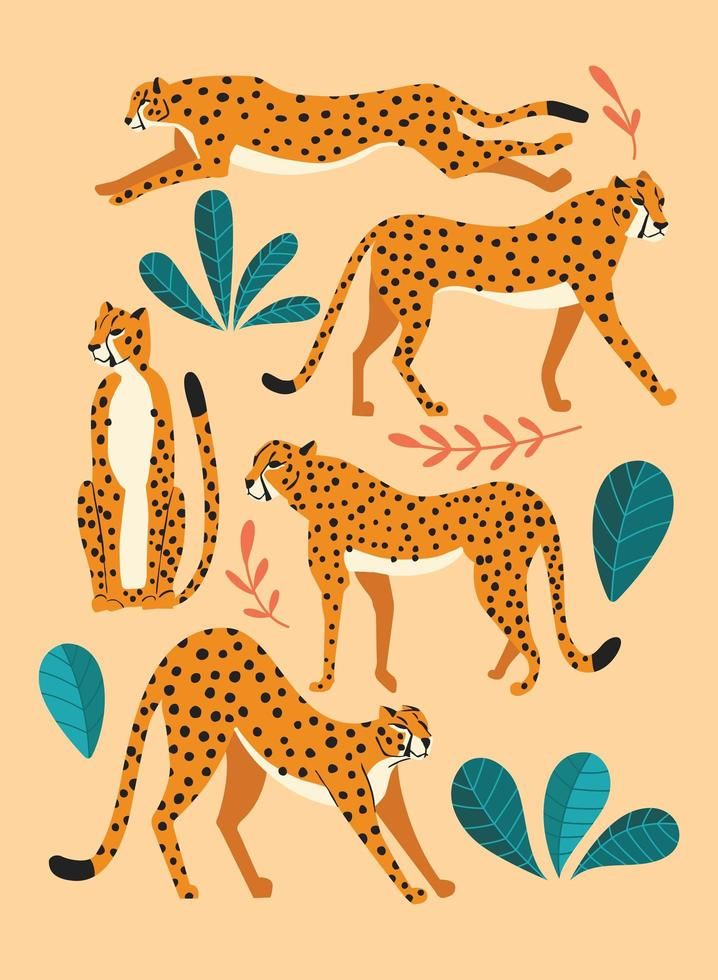 three cheetah and two leopards are depicted in this illustration