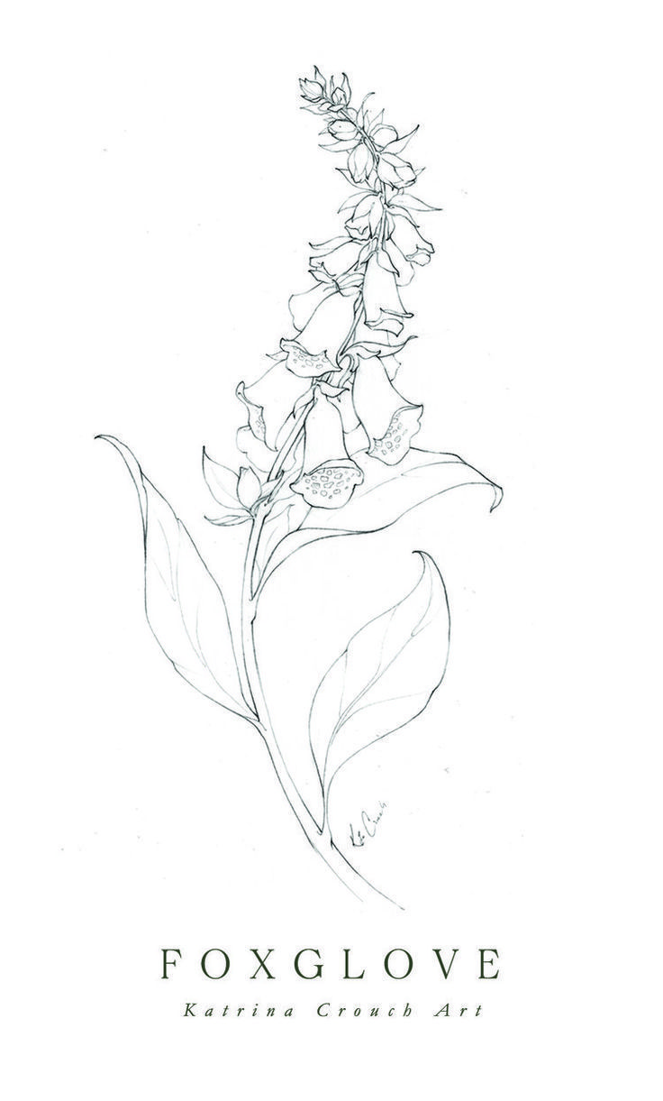 a drawing of a flower with the words foxglove on it's side