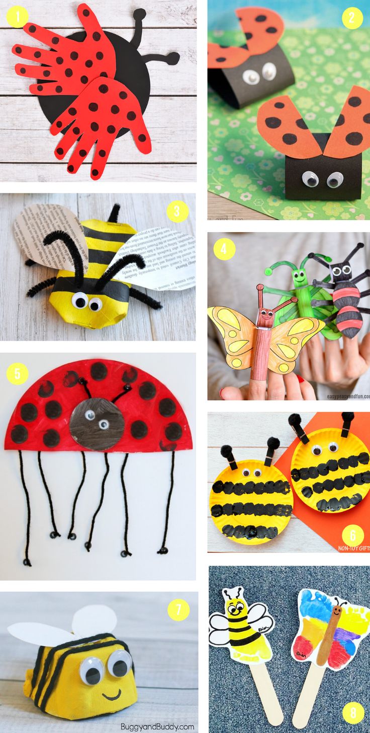 paper plate crafts for kids to make with ladybugs, bees and other things