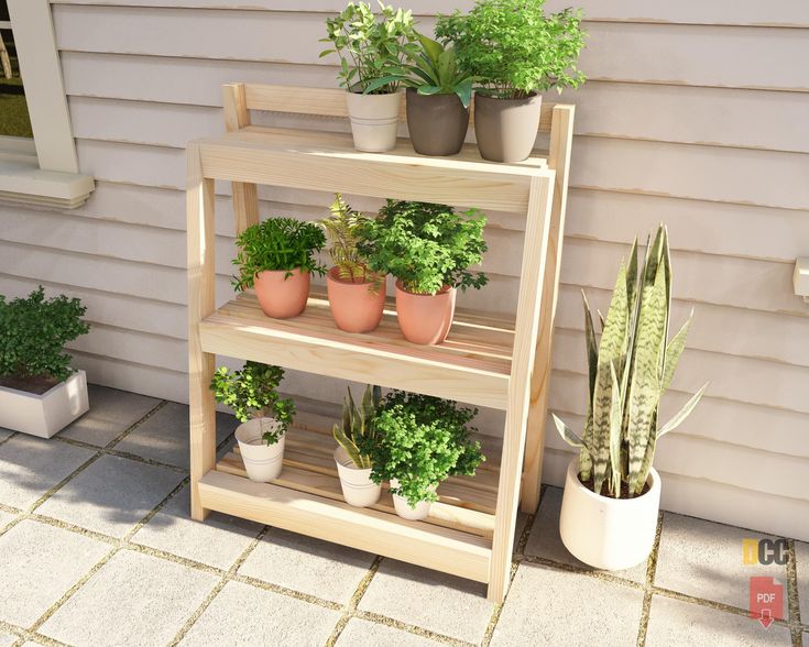 several potted plants are sitting on a shelf