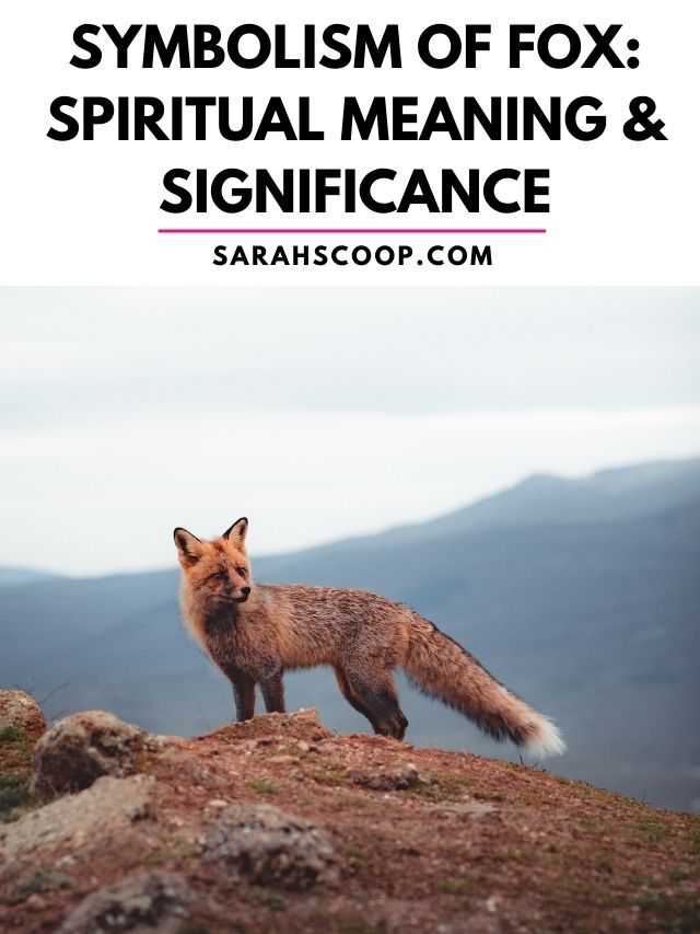 a red fox standing on top of a hill with text overlaying the image