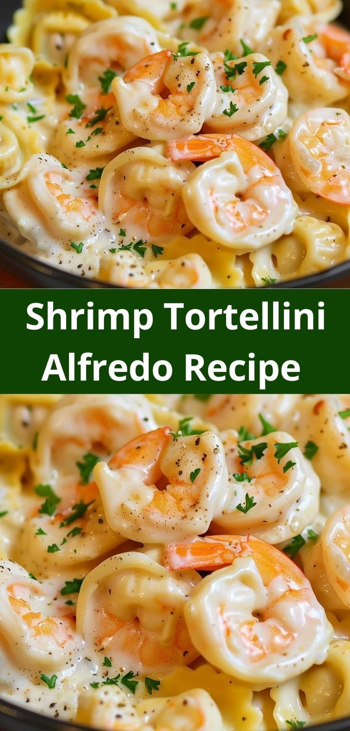 shrimp tortellini alfredo recipe in a skillet