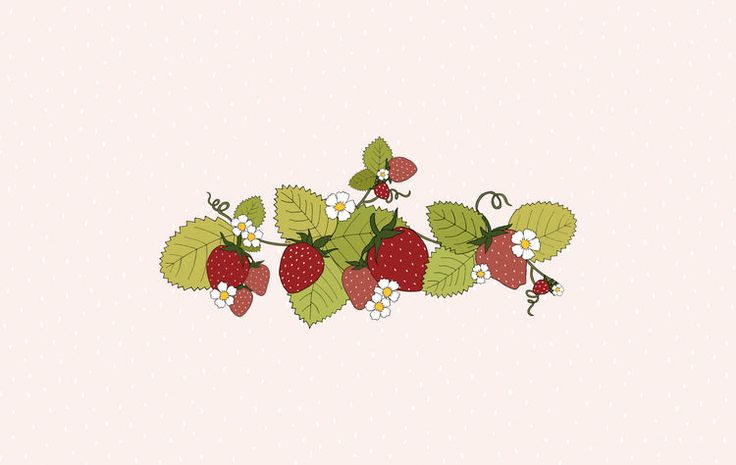 strawberries with leaves and flowers on a pink background