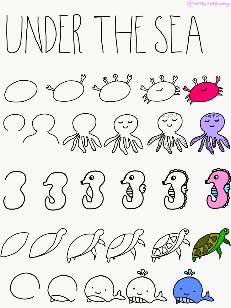 under the sea worksheet with different types of animals and their names on it