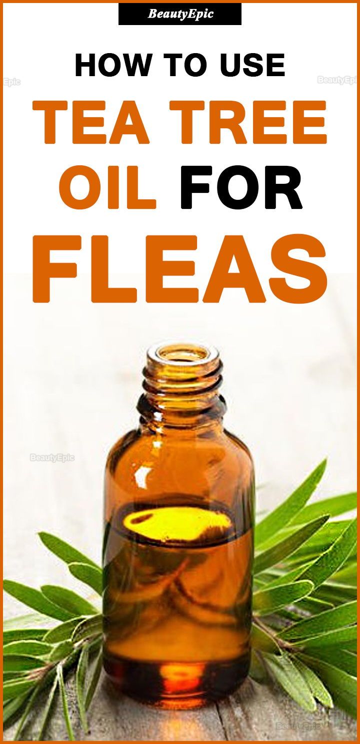 a bottle filled with tea tree oil on top of a wooden table next to leaves