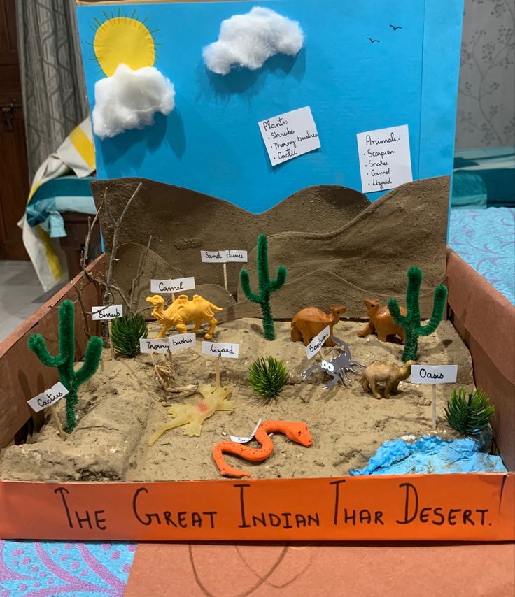 Desert Biome Shoebox Project, Desert Shoe Box Project, Desert Learning Activities, Sonoran Desert Diorama, Kids Habitat Project Ideas, Shoe Box Diorama Desert, Desertification Projects, Desert Diarama Ideas, Desert Habitat Diorama