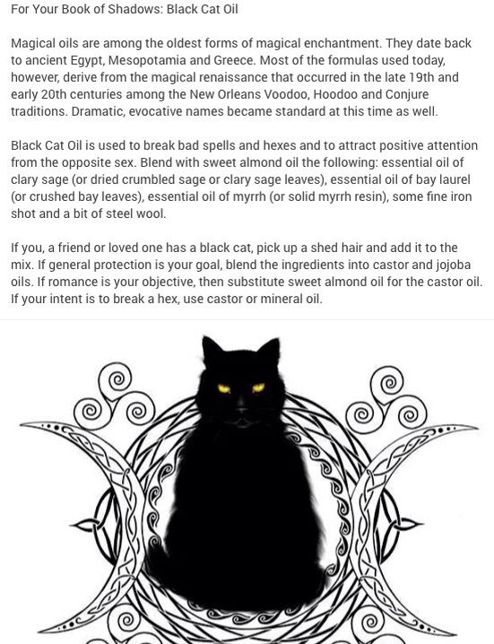 Black cat oil Black Cat Hair Witchcraft, Black Cat Oil Recipe, Cat Whiskers Witchcraft, Black Cat Meaning, Black Cat Oil, Hearth Witch, Magical Recipes, Magick Oil, Cat Spirit