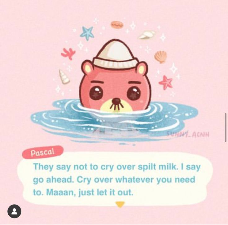 an animal with a hat on its head floating in the water and saying, they say not to cry over split milk i say go ahead cry whatever you need to maan