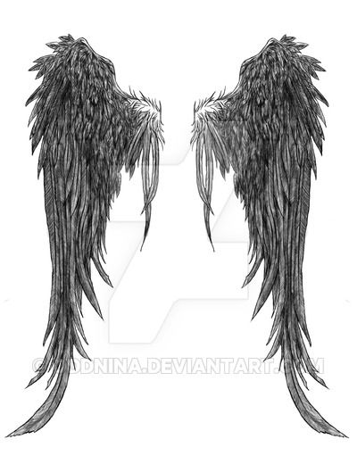 two black angel wings on a white background