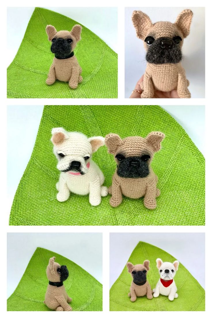 there are four different pictures of small dogs on the green blanket, and one is wearing a knitted hat