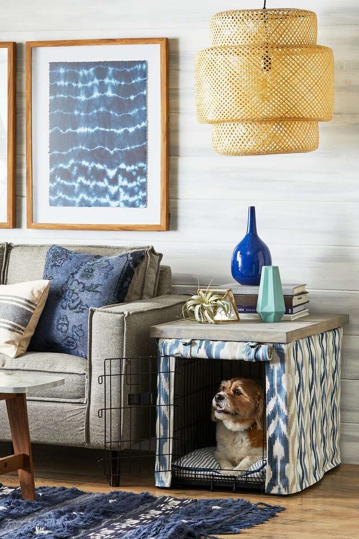 a dog sits in his crate under the couch