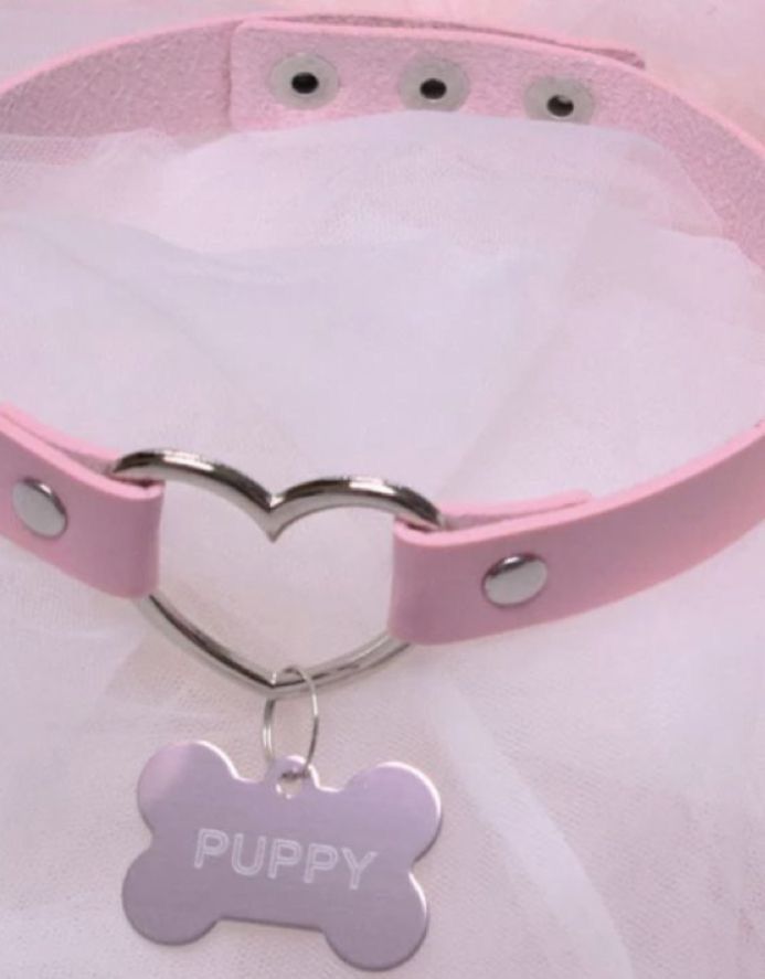 a pink dog collar with a heart shaped bone charm