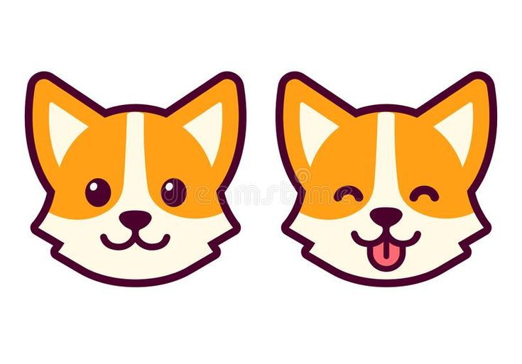 an orange and white corgi dog with its tongue out on a white background royalty illustration