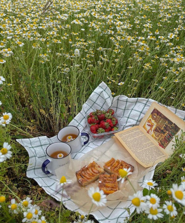 an open book and cup of tea sit on a blanket in a field full of daisies