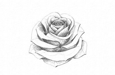 a black and white drawing of a rose