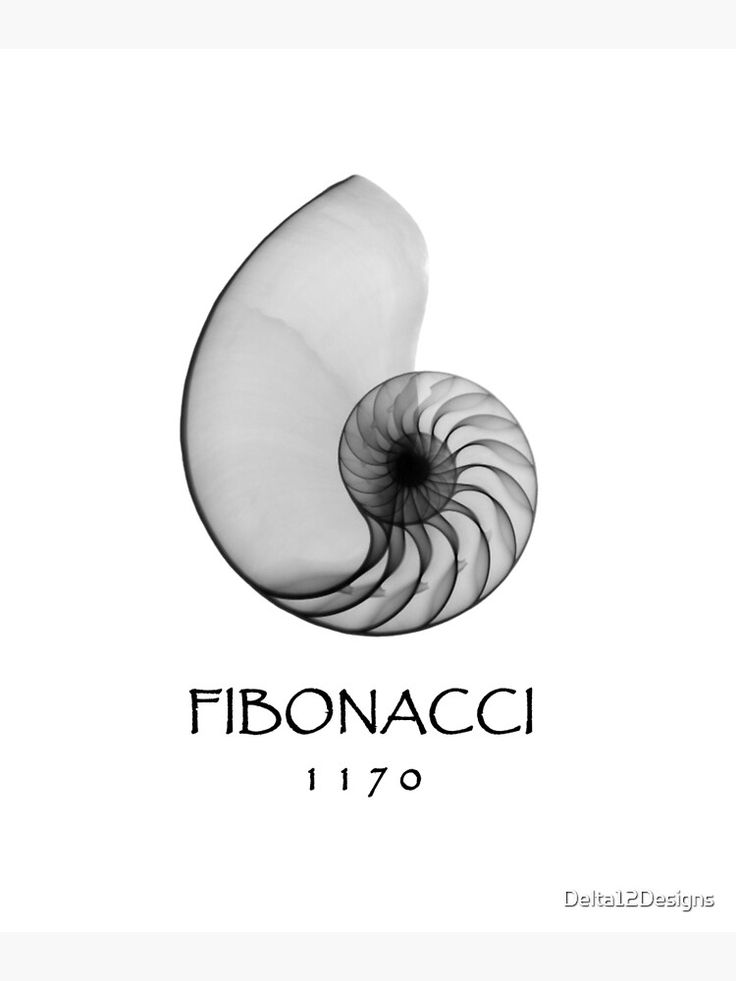 the fibonacci logo is shown in black and white, with an abstract spiral design